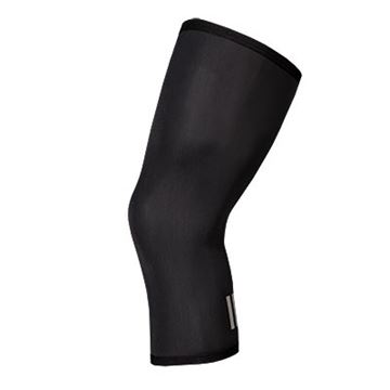 Picture of ENDURA KNEE WARMERS THERMOLITE
